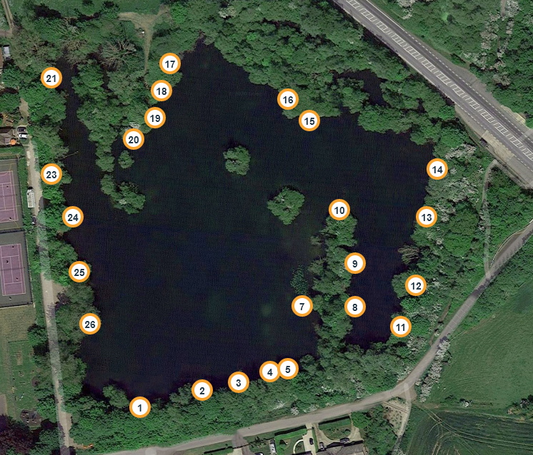 Dorchester Lake - Numbered Swims
